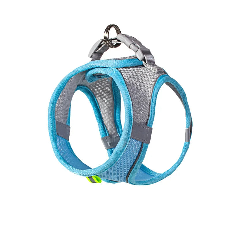 Leash Vest for Pets - 5 - ts | ONEFY.SHOP