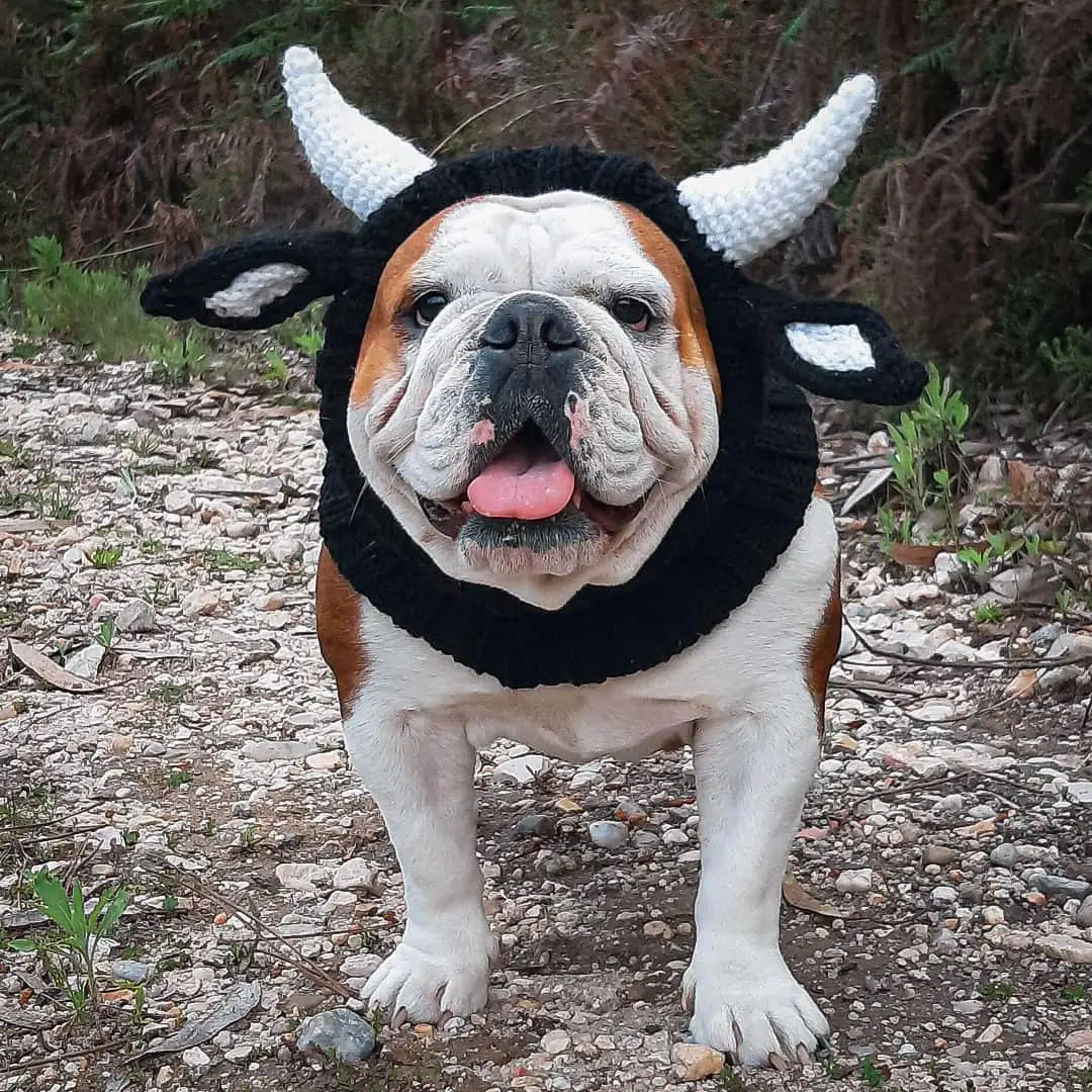 Pet Knitted Hat Winter - 5 - pn | ONEFY.SHOP