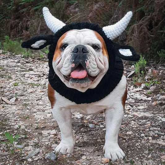 Pet Knitted Hat Winter - 5 - pn | ONEFY.SHOP