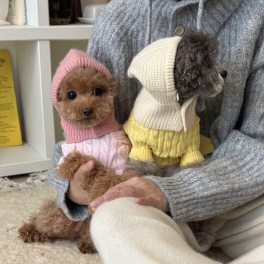 Pet Warmth Head Cover - 5 - pn | ONEFY.SHOP