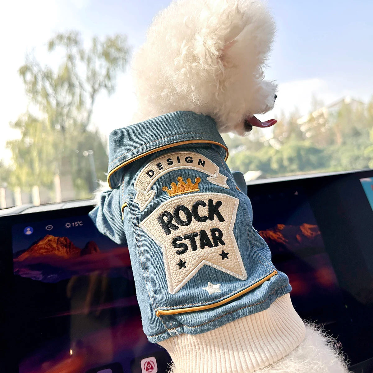 Chaqueta bordada de estrella de rock para mascotas - 5 - pn | ONEFY.SHOP