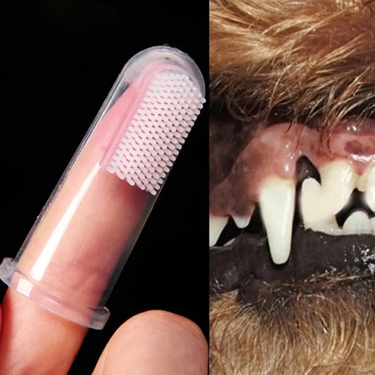 Ensemble de 4 brosses à dents à doigt - 5 - pe | ONEFY.SHOP