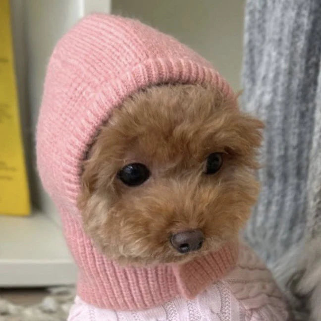 Pet Warmth Head Cover - 5 - pn | ONEFY.SHOP