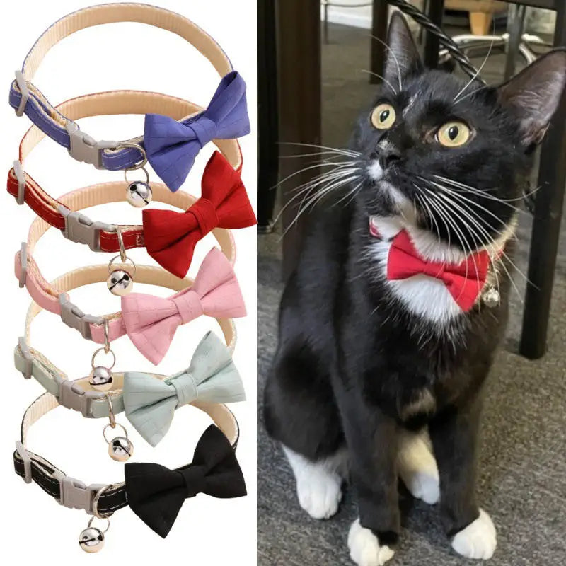 Bow Collar with Safety Bell - 5 - pn | ONEFY.SHOP