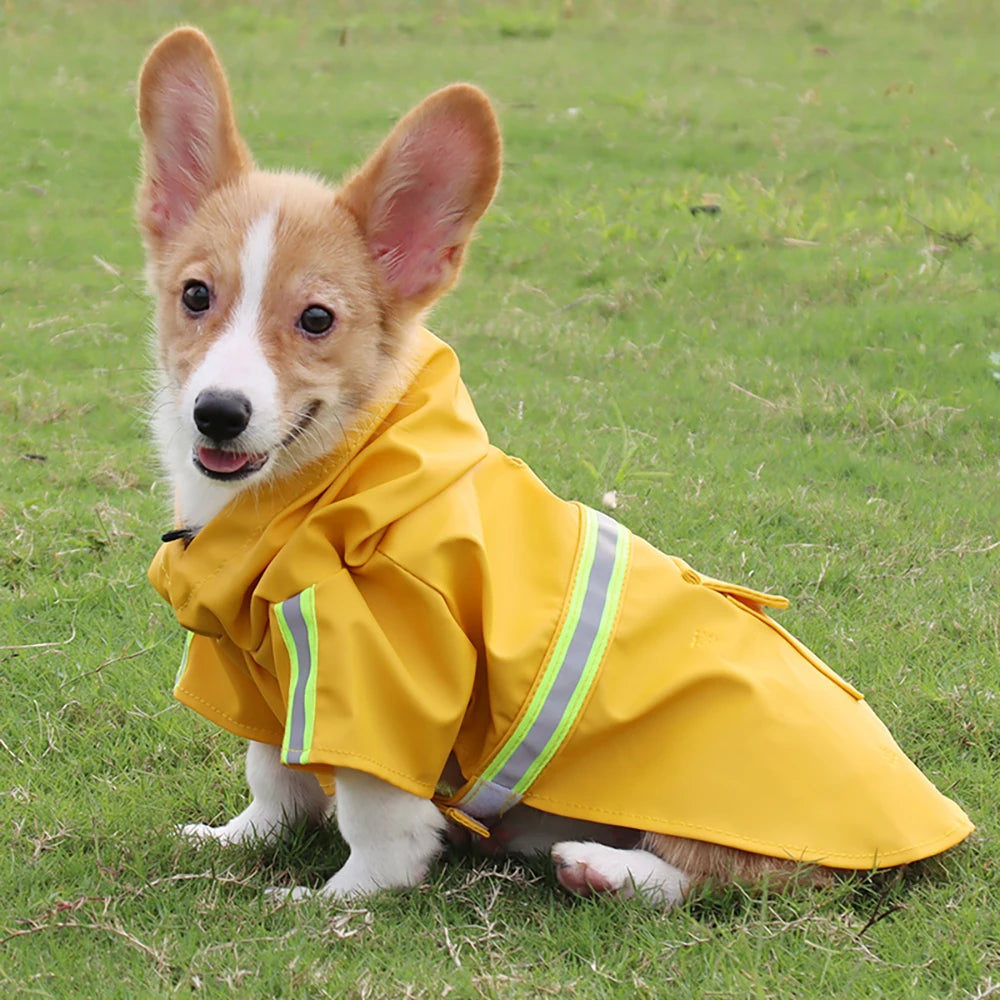 Dog Raincoat Style - 5 - pn | ONEFY.SHOP