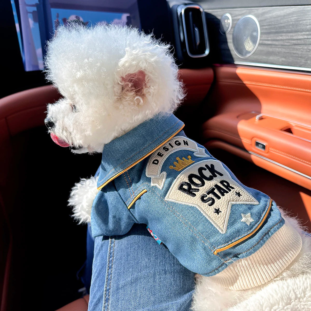 Chaqueta bordada de estrella de rock para mascotas - 5 - pn | ONEFY.SHOP