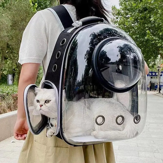 Pet Cat Carrying Bag - 5 - ts | ONEFY.SHOP