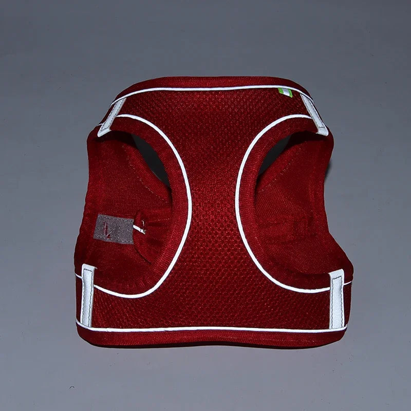 Leash Vest for Pets - 5 - ts | ONEFY.SHOP