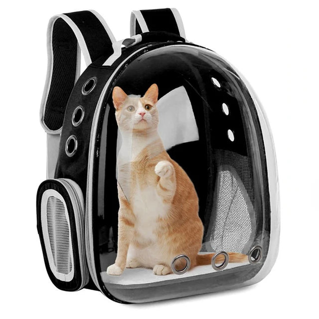 Pet Cat Carrying Bag - 5 - ts | ONEFY.SHOP