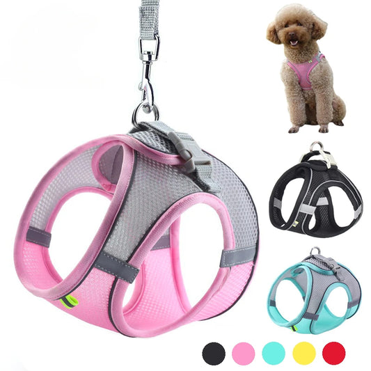 Leash Vest for Pets - 5 - ts | ONEFY.SHOP