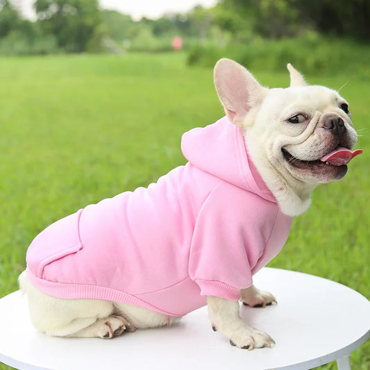 Pet Dog Hoodie - 5 - pn | ONEFY.SHOP