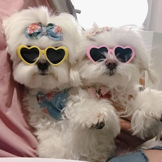 Love Pet Glasses - 5 - pn | ONEFY.SHOP
