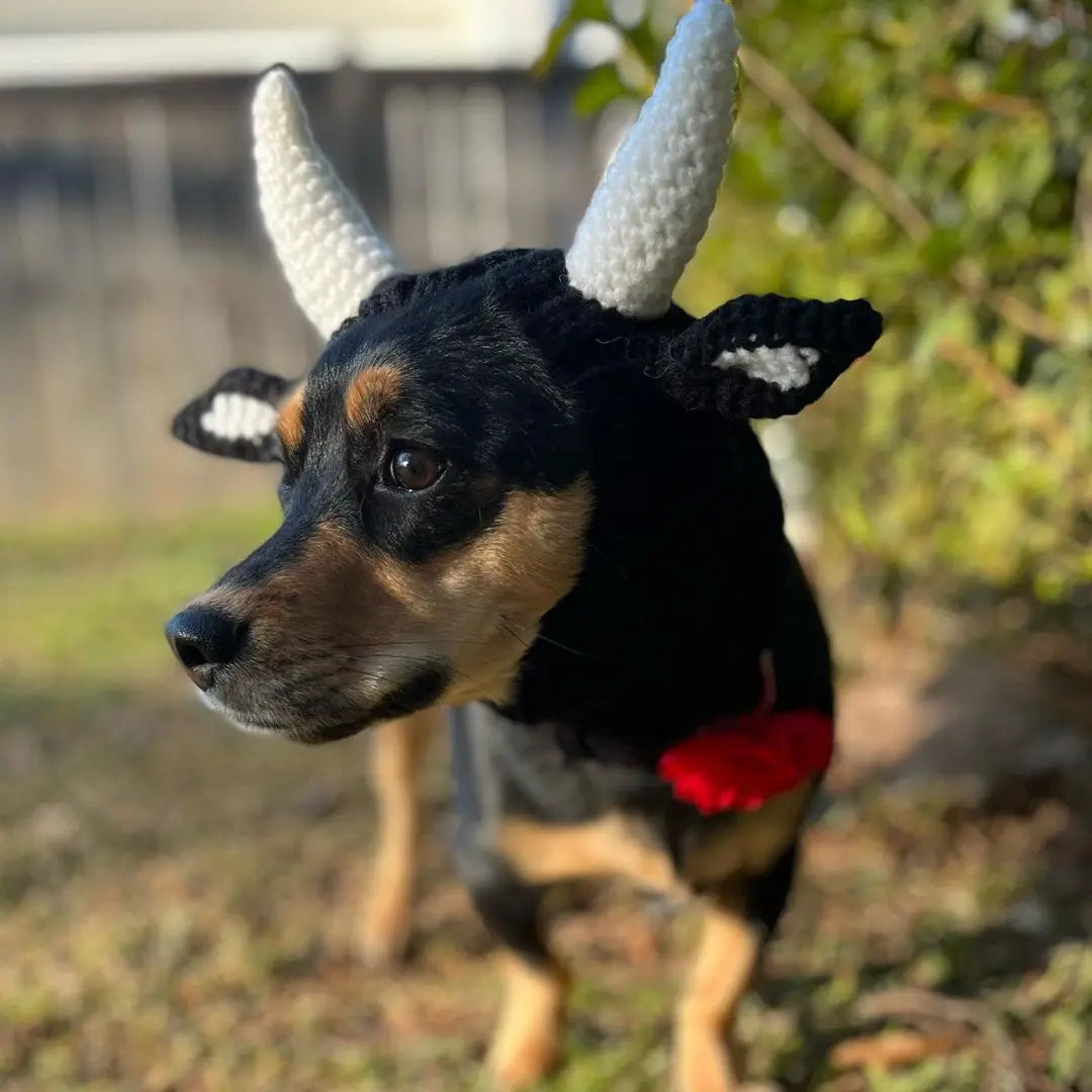 Pet Knitted Hat Winter - 5 - pn | ONEFY.SHOP