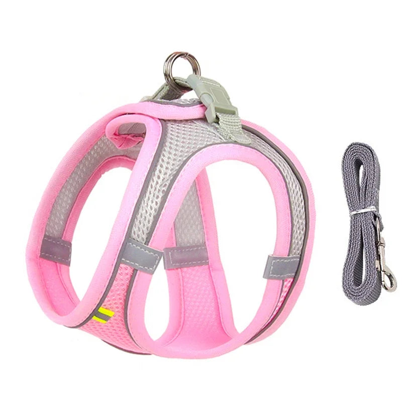 Leash Vest for Pets - 5 - ts | ONEFY.SHOP