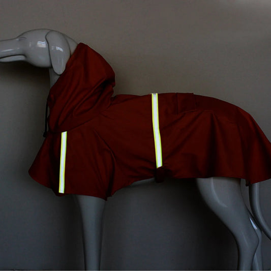 Dog Raincoat Style - 5 - pn | ONEFY.SHOP