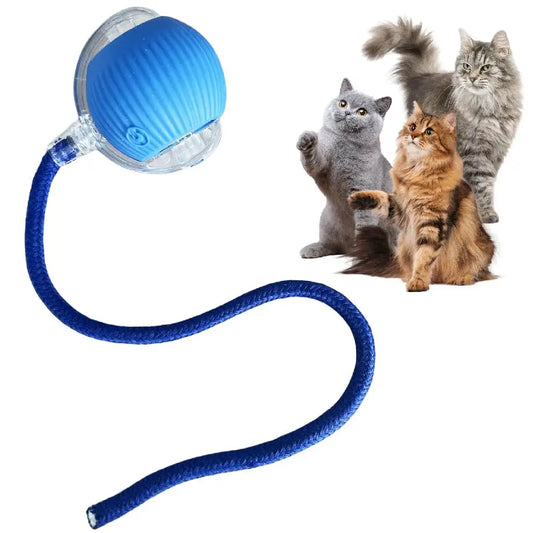 Automatic Rolling Ball for Pets - 5 - ps | ONEFY.SHOP