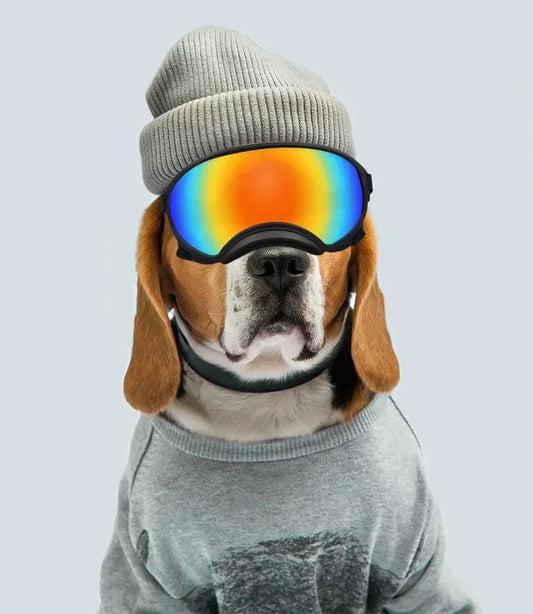 Dog Goggles Sunglasses - 5 - pn | ONEFY.SHOP