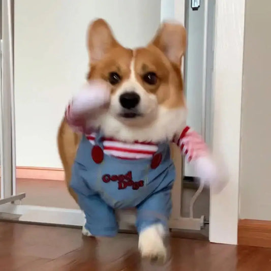 Chucky Dog Halloween Costume - 5 - pn | ONEFY.SHOP