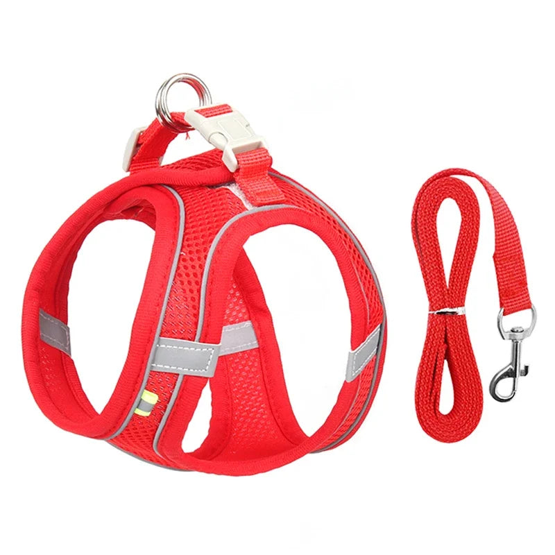 Leash Vest for Pets - 5 - ts | ONEFY.SHOP