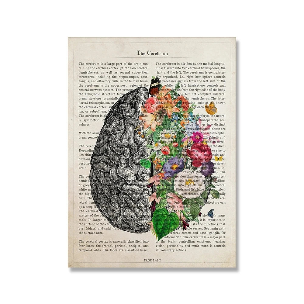 Brain Flower Anatomy Art - 2 - ds  | ONEFY.SHOP