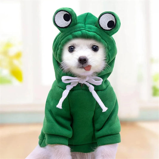 Big Eyes Pet Hoodie for Dogs - 5 - pn | ONEFY.SHOP