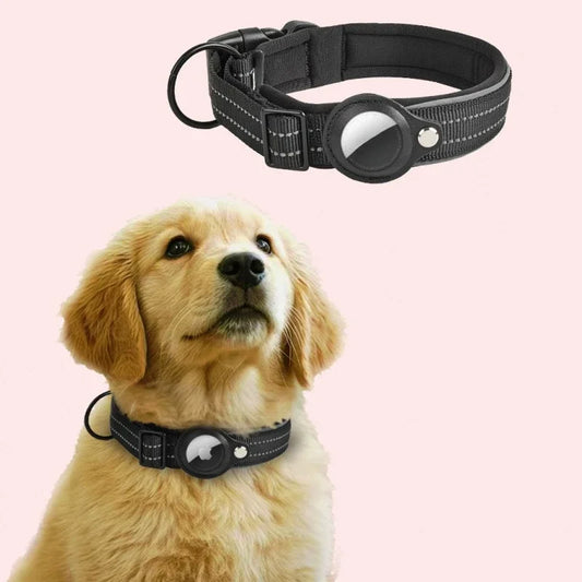 AirTag Dog Collar - 5 - pn | ONEFY.SHOP