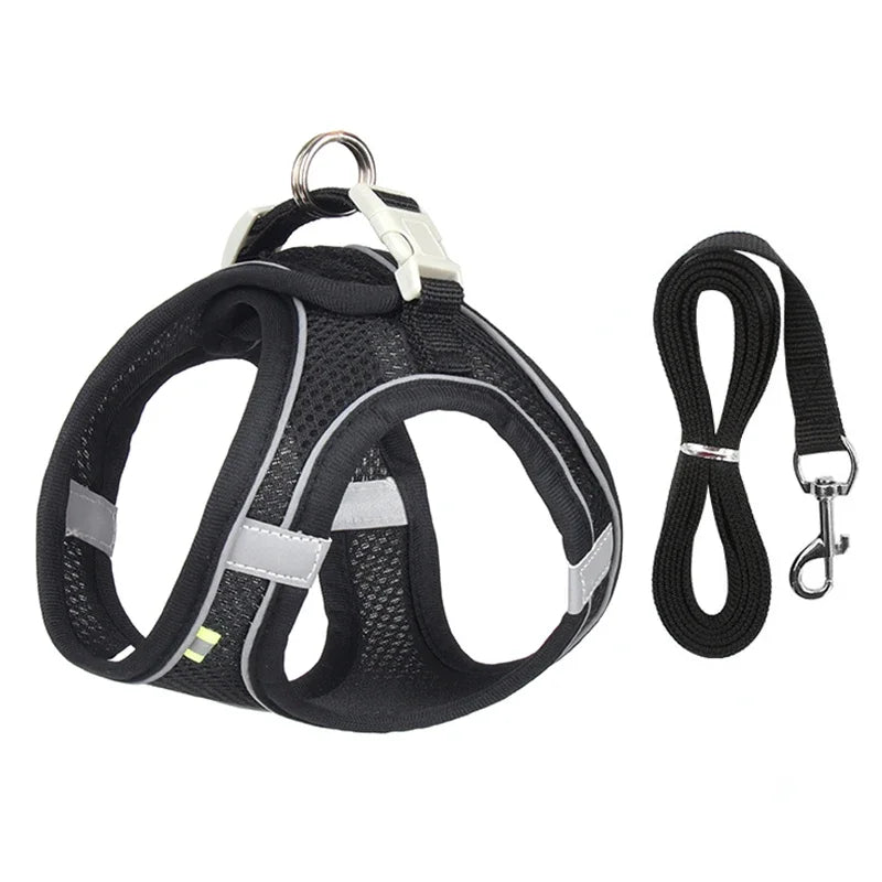 Leash Vest for Pets - 5 - ts | ONEFY.SHOP