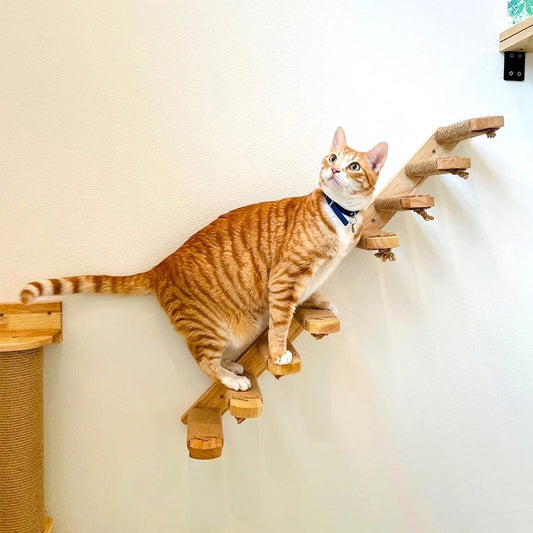 Cat Stairs Wall-Mounted Steps - 5 - ps | ONEFY.SHOP