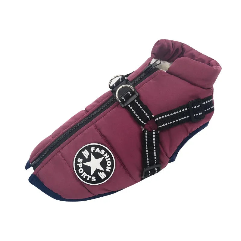 Pet Dog Winter Jacket Vest - 5 - pn | ONEFY.SHOP