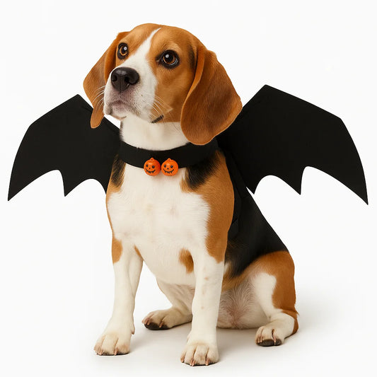 Bat Wings Pet Costume - 5 - pn | ONEFY.SHOP
