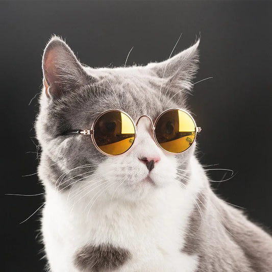 Pet Sunglasses Reflection - 5 - pn  | ONEFY.SHOP