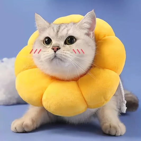 Cat Recovery Collar Cute - 5 - pe | ONEFY.SHOP