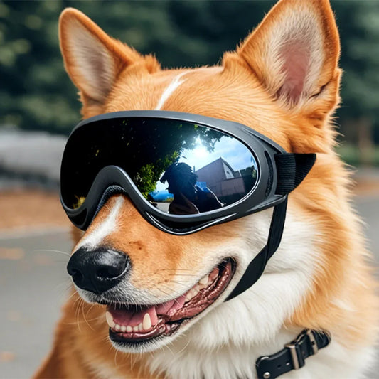 Dog Glasses Adjustable - 5 - pn | ONEFY.SHOP
