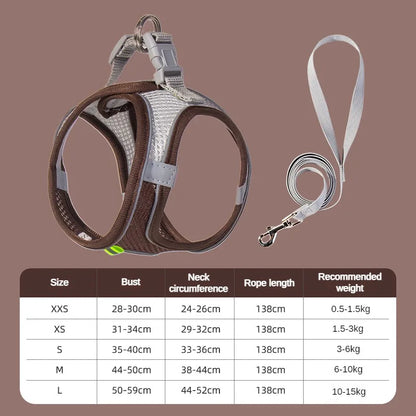 Leash Vest for Pets - 5 - ts | ONEFY.SHOP