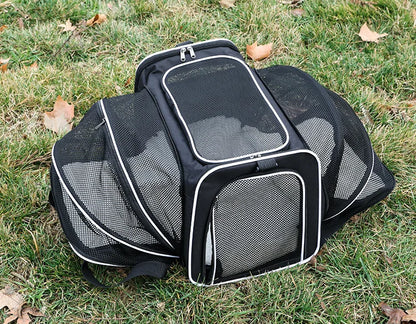 Pet Carrier Bag Foldable - 5 - ts | ONEFY.SHOP