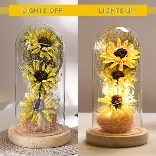 Floral Display in Glass Dome with LED Lights - 7 -  rs | ONEFY.SHOP