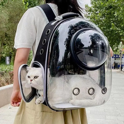 Pet Cat Carrying Bag - 5 - ts | ONEFY.SHOP