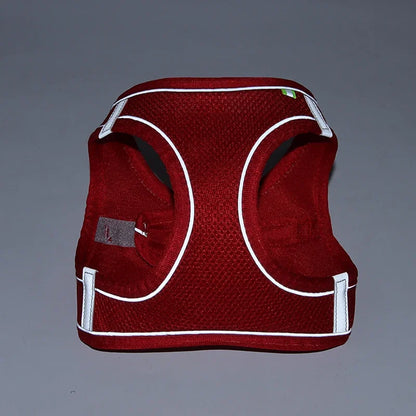 Leash Vest for Pets - 5 - ts | ONEFY.SHOP