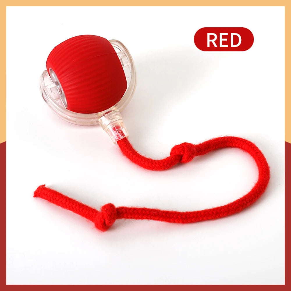 Automatic Rolling Ball for Pets - 5 - ps | ONEFY.SHOP