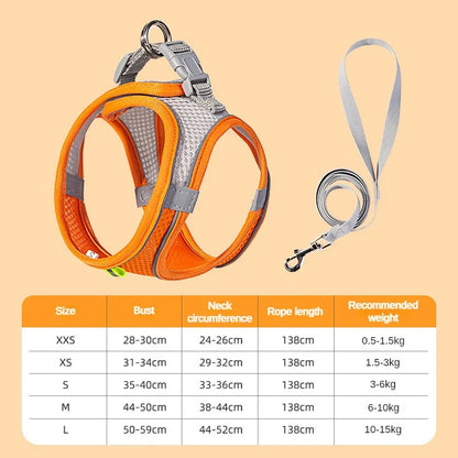 Leash Vest for Pets - 5 - ts | ONEFY.SHOP