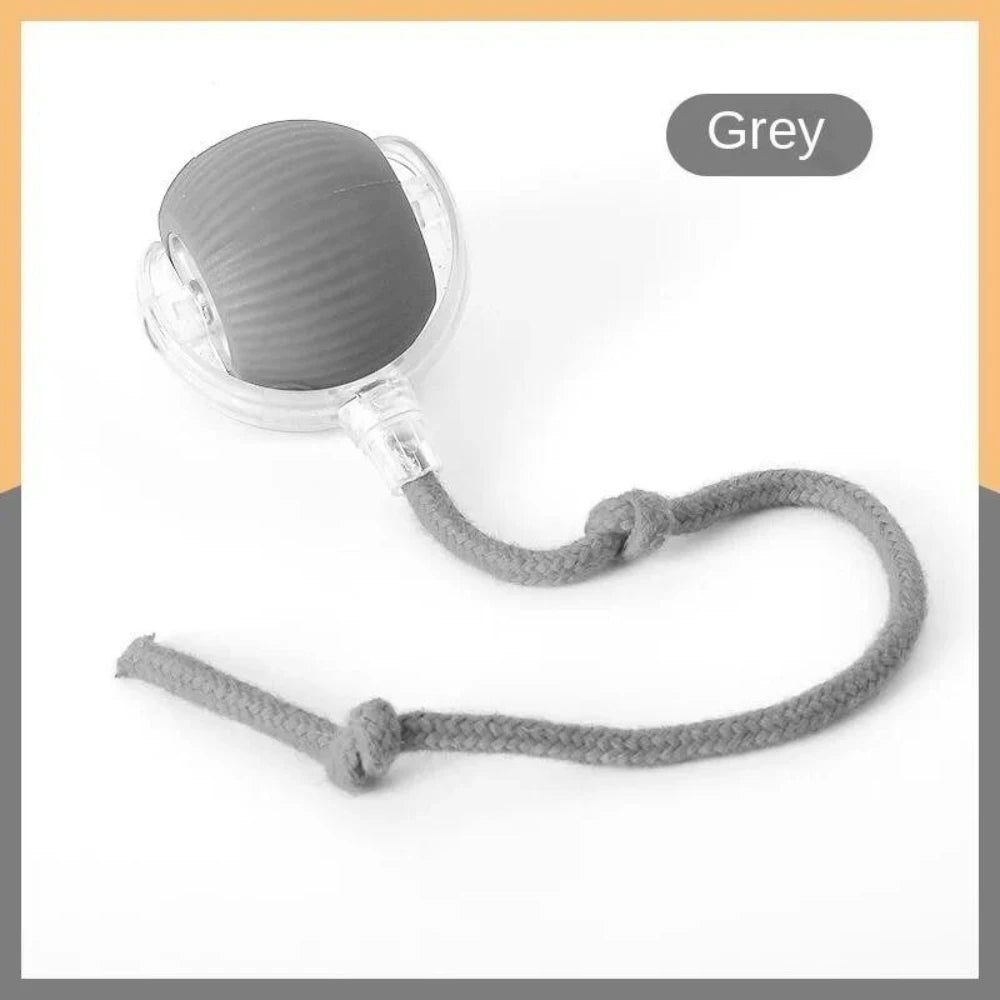 Automatic Rolling Ball for Pets - 5 - ps | ONEFY.SHOP