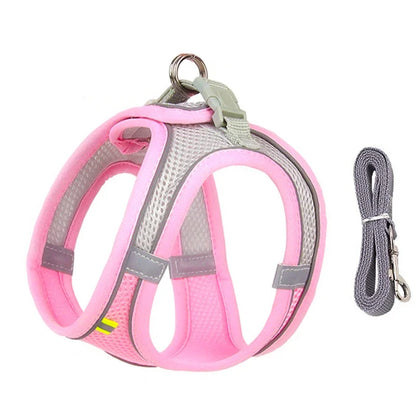 Leash Vest for Pets - 5 - ts | ONEFY.SHOP