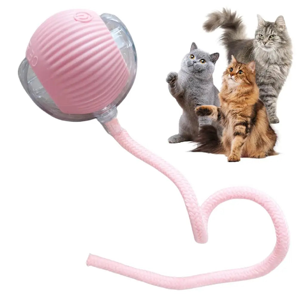 Automatic Rolling Ball for Pets - 5 - ps | ONEFY.SHOP
