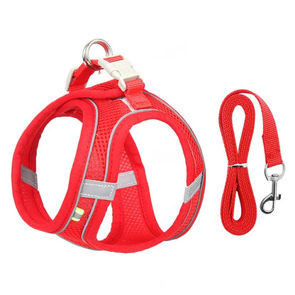 Leash Vest for Pets - 5 - ts | ONEFY.SHOP
