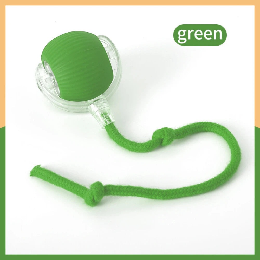 Automatic Rolling Ball for Pets - 5 - ps | ONEFY.SHOP